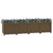 hevet bed 160x40x38 cm polypropylen