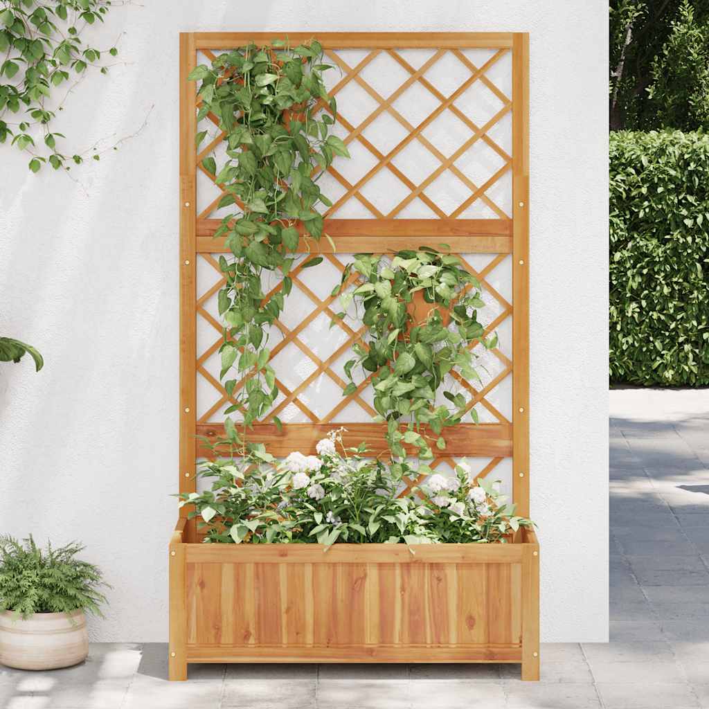 Høybed med espalier 85x38x150 cm heltre akasie