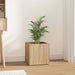 Plantekasse sonoma eik 40x40x40 cm konstruert tre