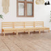 Hagesofagruppe 4 deler heltre furu