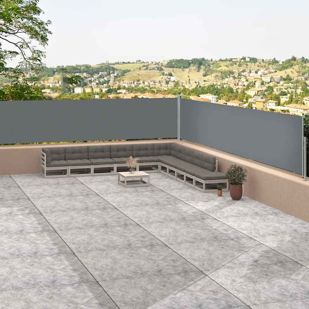 Uttrekkbar sidemarkise antrasitt 117x1200 cm vidaXL
