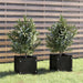 Plantekasser 2 stk svart 31x31x31 cm heltre furu