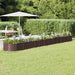 Høybed galvanisert stål 512x80x36 cm brun