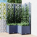 Plantekasse med espalier blågrå 80x80x136 cm PP