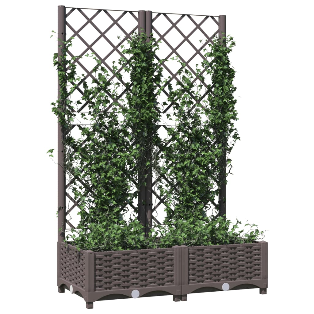 Plantekasse med espalier brun 80x40x121,5 cm PP