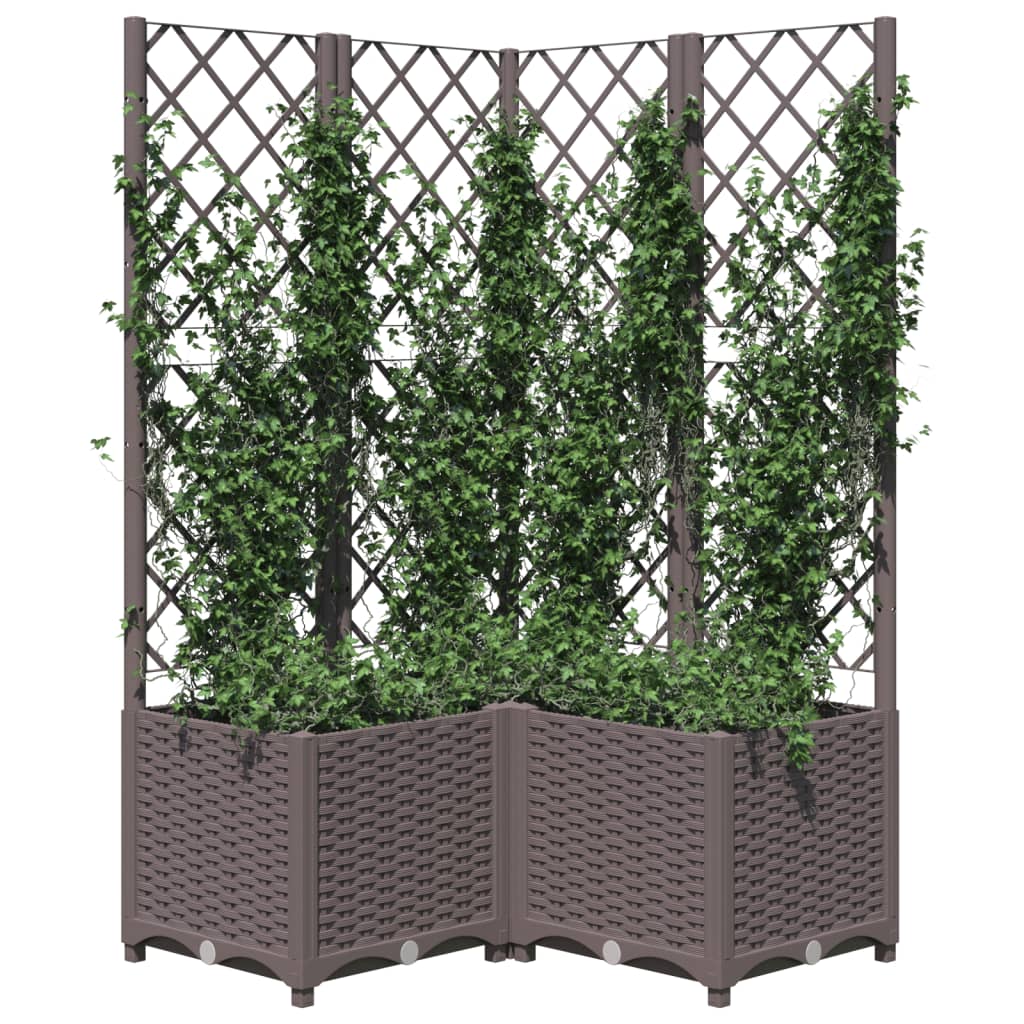 Plantekasse med espalier brun 80x80x136 cm PP