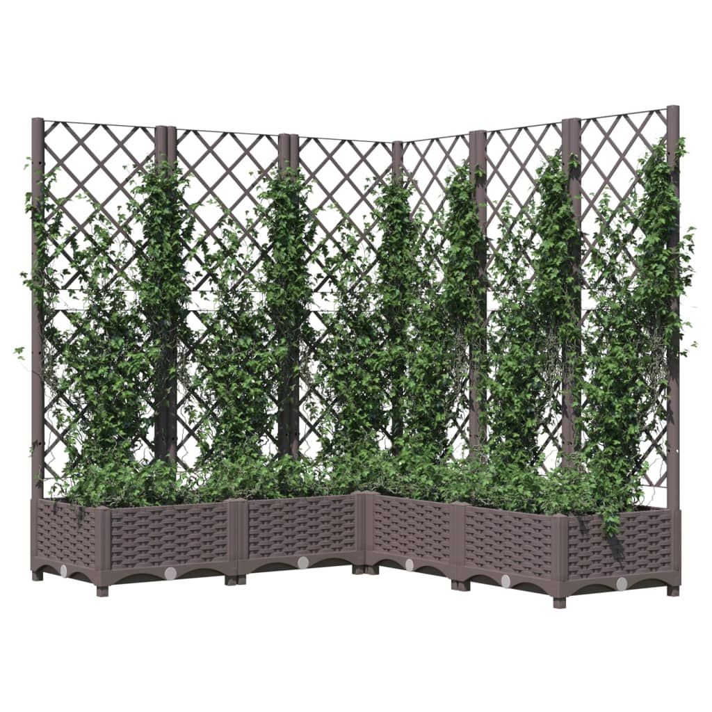 Plantekasse med espalier brun 120x120x121,5 cm PP