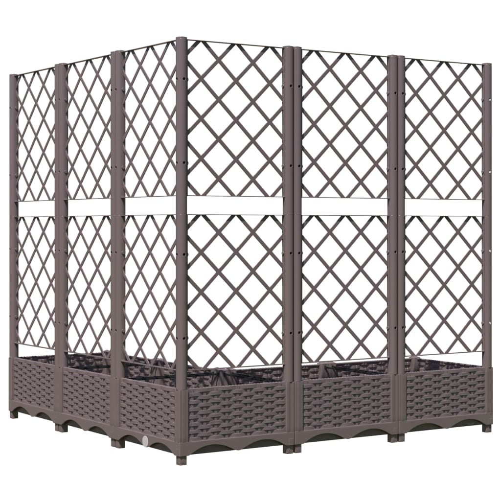Plantekasse med espalier brun 120x120x121,5 cm PP