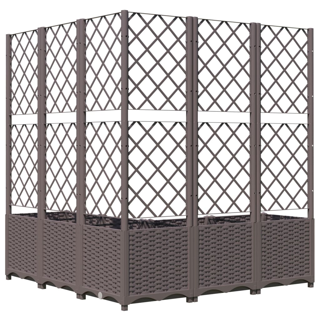 Plantekasse med espalier brun 120x120x136 cm PP