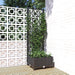 Hagepotte med espalier svart 40x40x121,5 cm PP