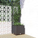 Hagepotte med espalier svart 40x40x136 cm PP