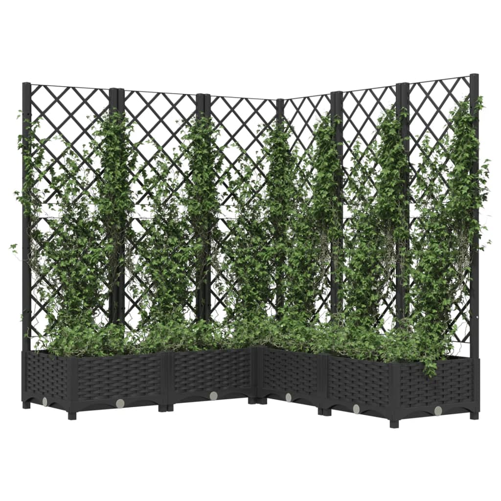 Plantekasse med espalier svart 120x120x121,5 cm PP