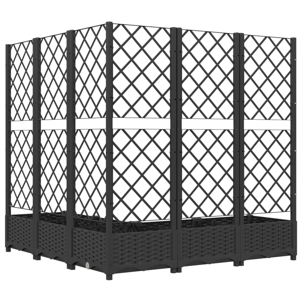 Plantekasse med espalier svart 120x120x121,5 cm PP