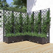Plantekasse med espalier svart 120x120x121,5 cm PP