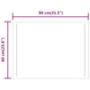 Baderomsspeil med LED 80x60 cm