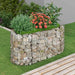 Gabion høybed galvanisert jern 120x50x50 cm vidaXL