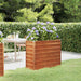 Høybed rust 100x40x77 cm cortenstål