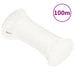 Båttau helhvit 4 mm 100 m polypropylen vidaXL