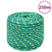 Båttau grønn 14 mm 250 m polypropylen vidaXL