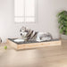 Hundeseng 101,5x74x9 cm heltre furu