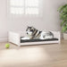 Hundeseng hvit 105,5x75,5x28 cm heltre furu