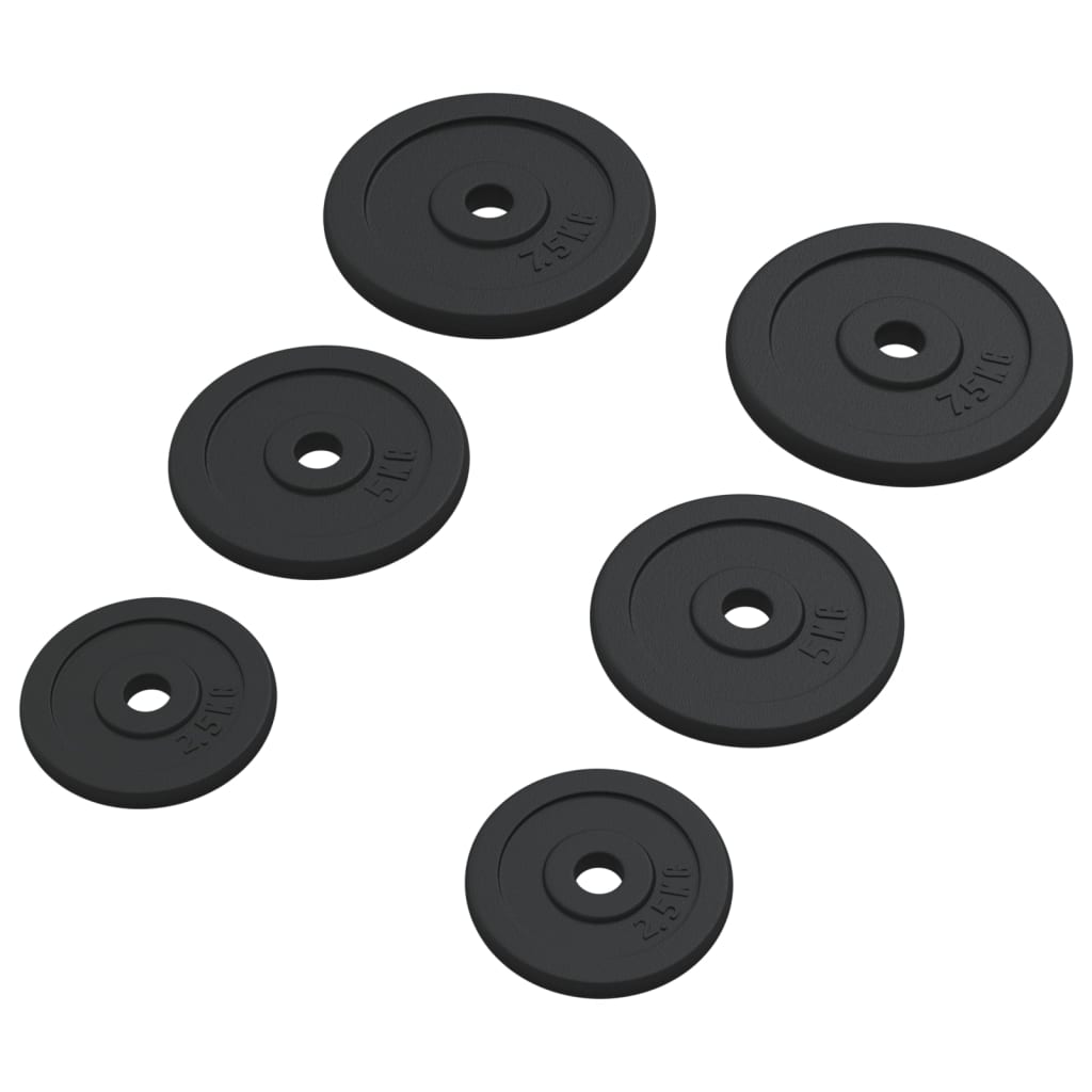 Vektskiver 6 stk 30 kg støpejern vidaXL