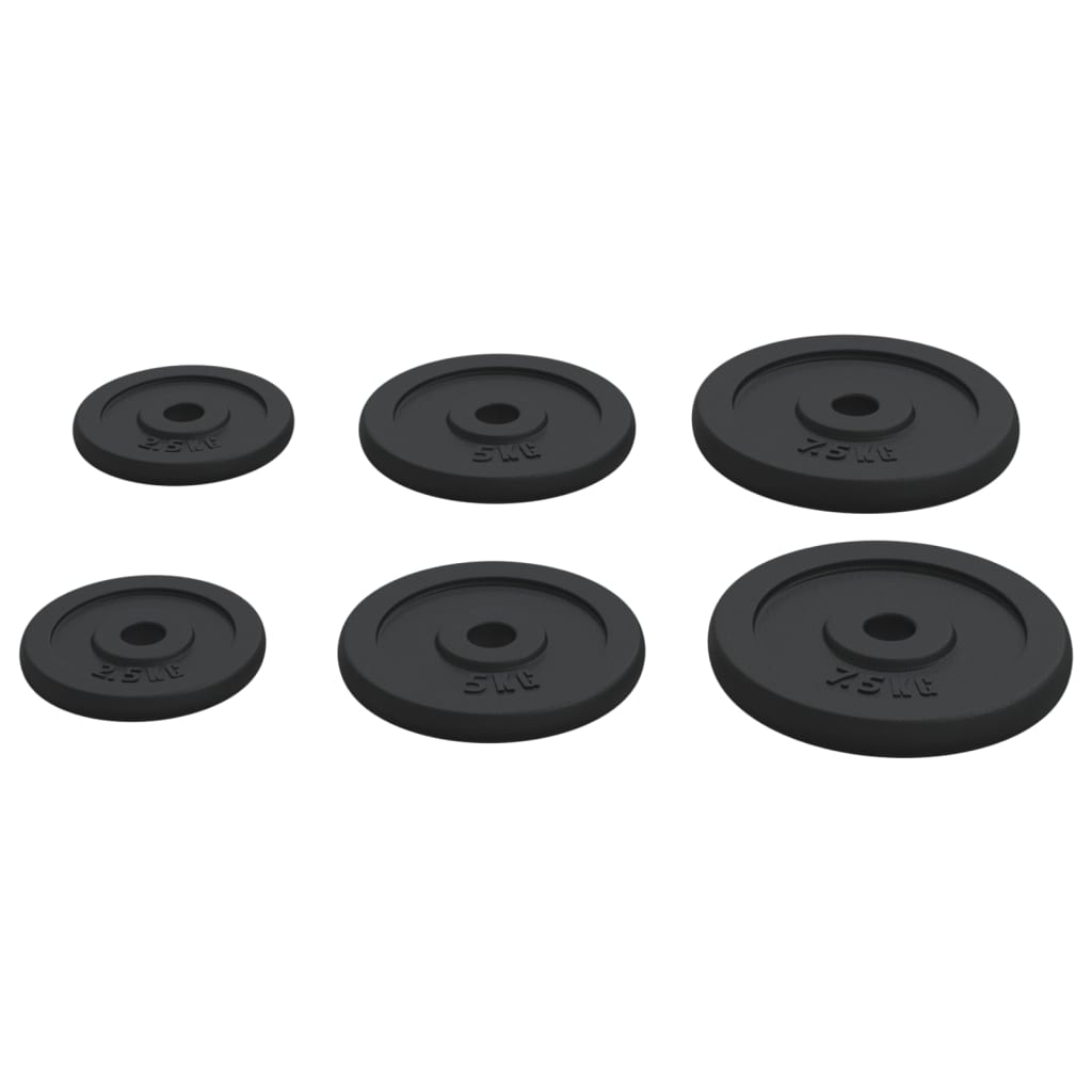 Vektskiver 6 stk 30 kg støpejern vidaXL
