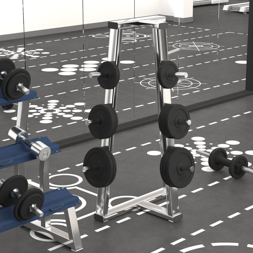 Vektskiver 6 stk 30 kg støpejern vidaXL
