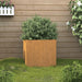 Plantekasse 32x30x29 cm cortenstål