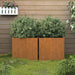 Plantekasser 2 stk 49x47x46 cm cortenstål