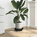 Plantetralle med hjul 5 stk diameter 30 cm svart 170 kg
