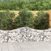 Gabionkurver buede 10 stk 200x50x60/80 cm galvanisert jern