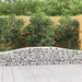 Gabionkurver buede 2 stk 400x30x40/60 cm galvanisert jern