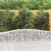 Gabionkurver buede 15 stk 400x50x40/60 cm galvanisert jern