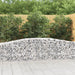 Gabionkurver buede 20 stk 400x50x60/80 cm galvanisert jern