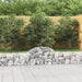 Gabionkurver buede 6 stk 200x30x40/60 cm galvanisert jern