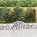 Gabionkurver buede 25 stk 200x30x40/60 cm galvanisert jern