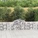 Gabionkurver buede 14 stk 200x30x60/80 cm galvanisert jern