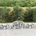 Gabionkurver buede 40 stk 200x50x40/60 cm galvanisert jern