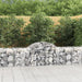 Gabionkurver buede 40 stk 200x50x60/80 cm galvanisert jern