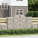 Gabionkurver buede 40 stk 200x50x120/140 cm galvanisert jern