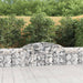 Gabionkurver buede 30 stk 300x30x60/80 cm galvanisert jern