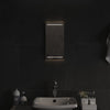 Baderomsspeil med LED 20x40 cm
