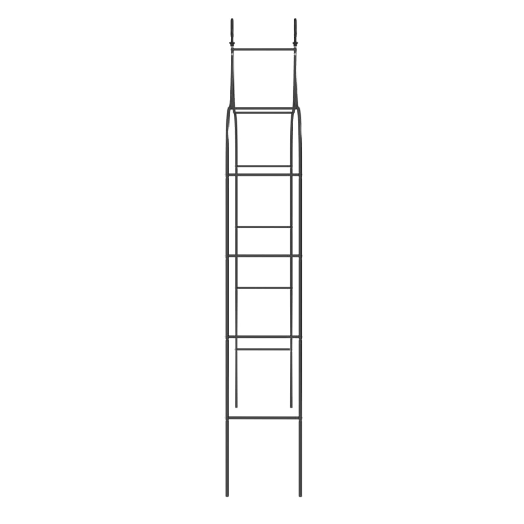 Hagebuer 2 stk svart 120x38x260 cm stål