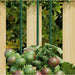 Hageplanteplugger 30 stk grønn 115 cm stål