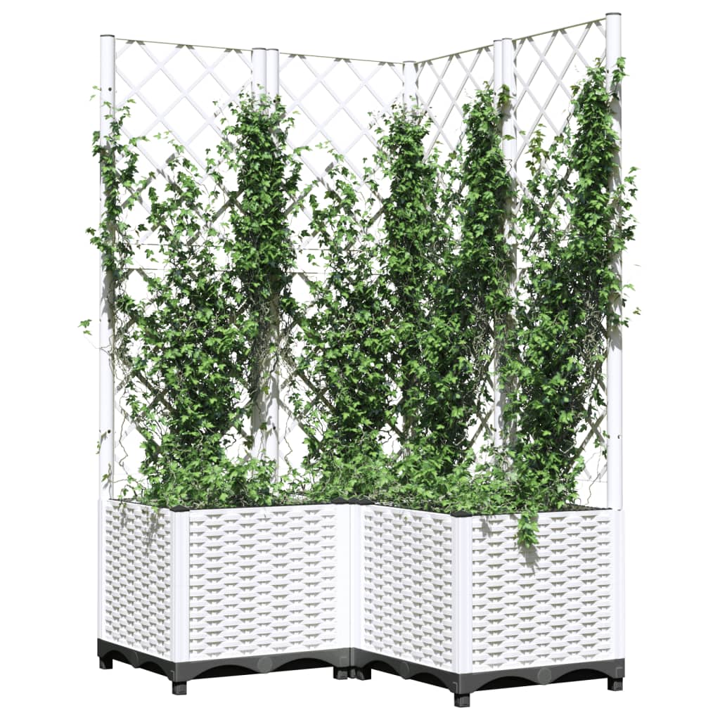 Plantekasse med espalier hvit 80x80x136 cm PP