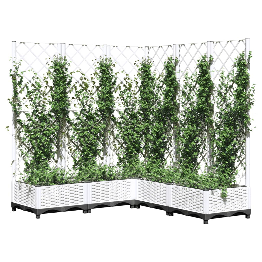 Plantekasse med espalier hvit 120x120x121,5 cm PP