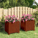 Plantekasser med ben 2 stk rust 30x30x30 cm cortenstål