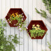 Vegghengte plantekasser 2 stk rust 46x10x40 cm cortenstål