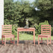 Hagebistrosett 3 deler heltre douglasgran